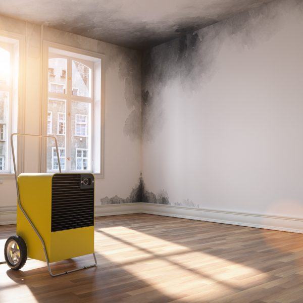 How effective are commercial dehumidifiers?